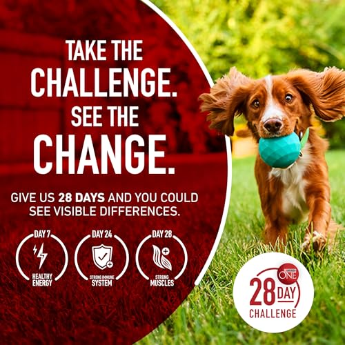Purina ONE Dry Dog Food Lamb and Rice Formula - 31.1 lb. Bag-UPStoxs