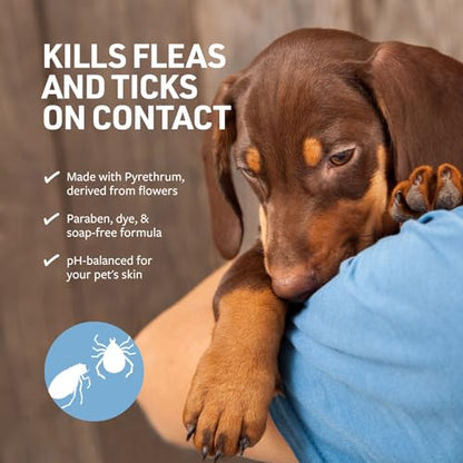 Veterinary Formula Flea and Tick Shampoo for Dogs and Cats, 16 oz-UPStoxs