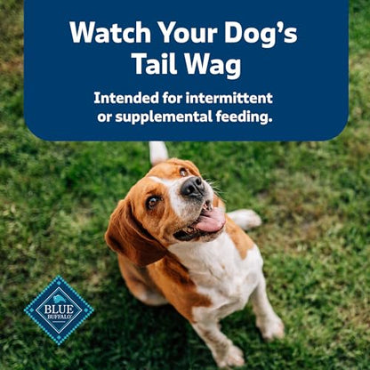 Blue Buffalo Health Bars Natural Crunchy Dog Treats Biscuits, Apple & Yogurt 16-oz Bag-UPStoxs
