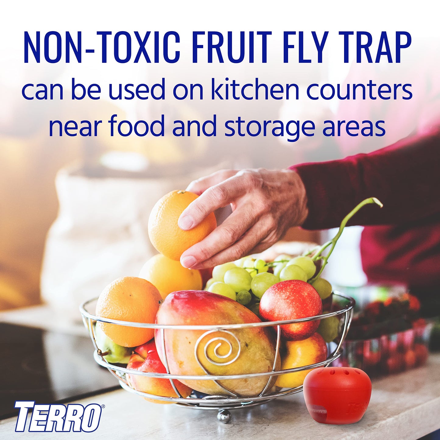 TERRO T2503-3 Ready-to-Use Indoor Fruit Fly Trap with Built in Window - 6 Traps + 270 day Lure Supply-UPStoxs