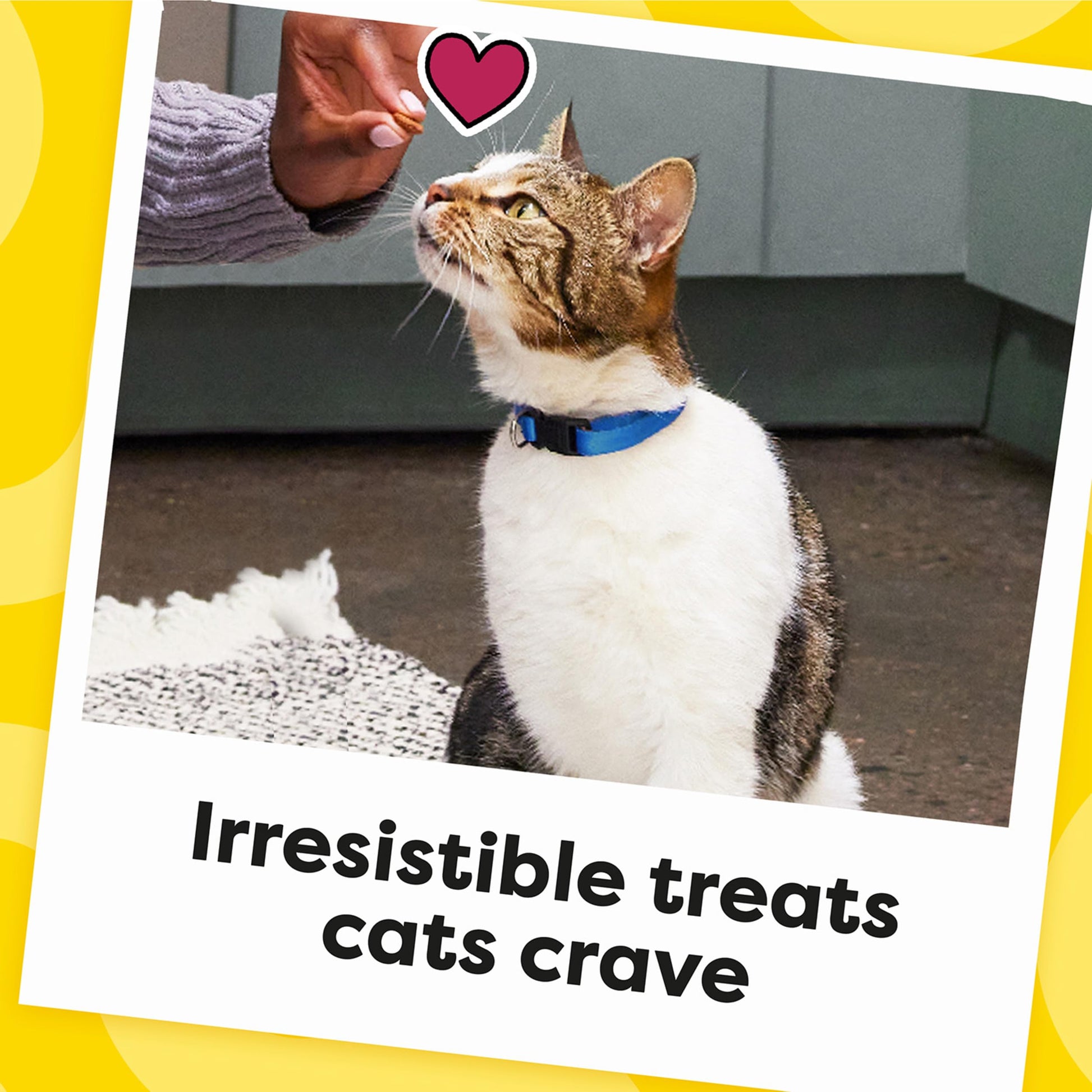 TEMPTATIONS Classic Crunchy and Soft Cat Treats, SEAFOOD MEDLEY, Multiple Sizes-UPStoxs